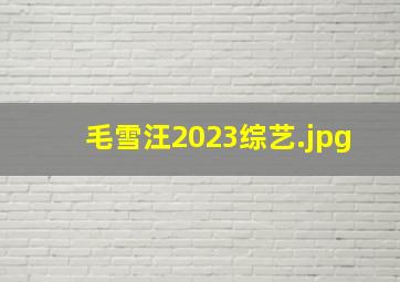 毛雪汪2023综艺