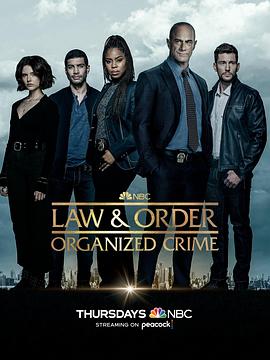 法律与秩序：组织犯罪 第三季